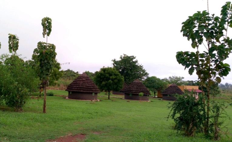 Grassroots Cottages Murchsion Falls Purongo Экстерьер фото